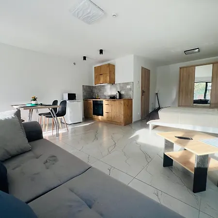 I Wypoczynkowe Z Jacuzzi Lidzbark * Lidzbark Welski